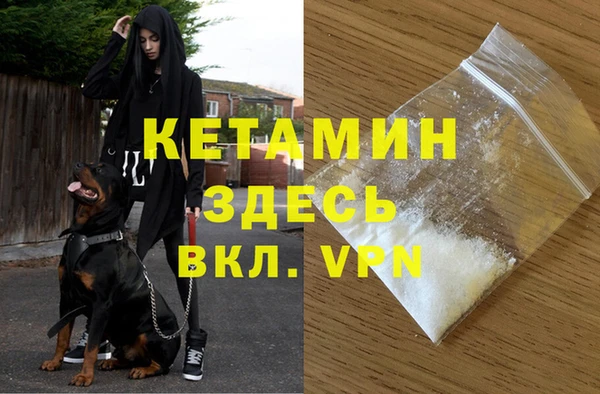 стафф Алзамай