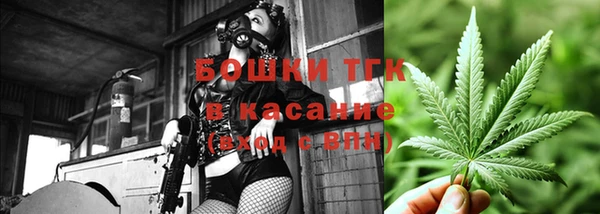 стафф Алзамай