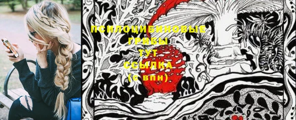 стафф Алзамай