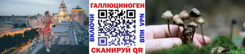MEGA ссылка  Шуя  Галлюциногенные грибы GOLDEN TEACHER  где купить наркоту 